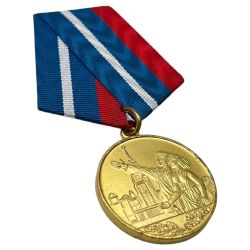 Медаль За заслуги в управлении и руководстве