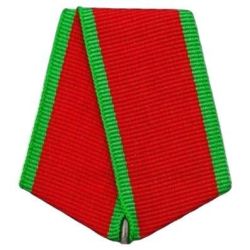 Колодка к Медали Суворова